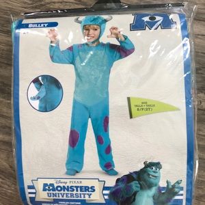 Sully or Sullivan from Monster Inc